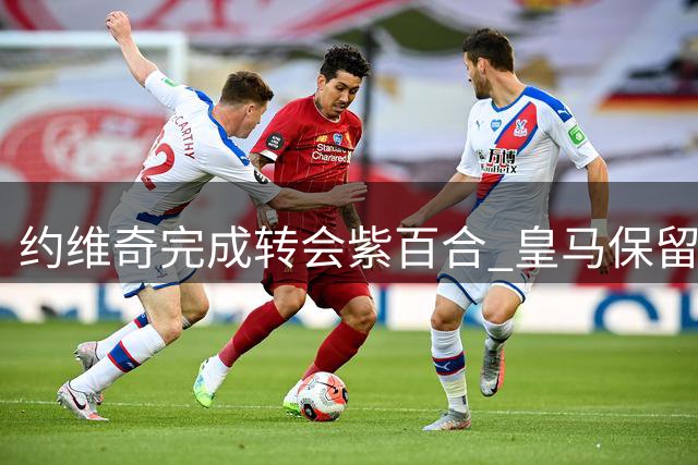 约维奇完成转会紫百合 皇马保留50%未来分成权